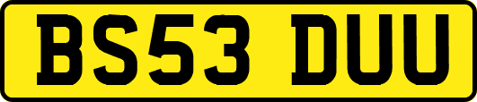 BS53DUU
