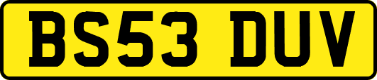 BS53DUV
