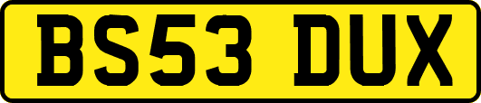BS53DUX
