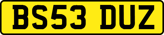 BS53DUZ