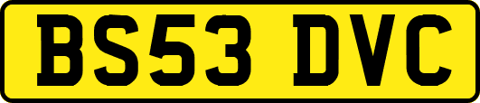 BS53DVC