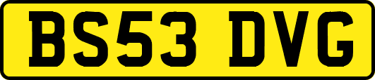 BS53DVG