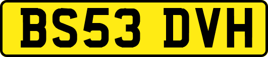 BS53DVH