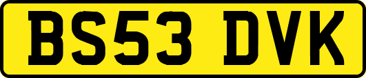 BS53DVK
