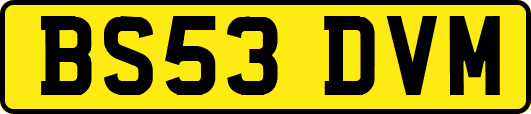 BS53DVM