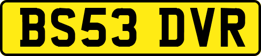 BS53DVR