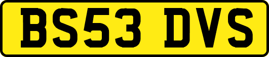 BS53DVS