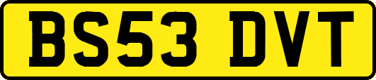 BS53DVT