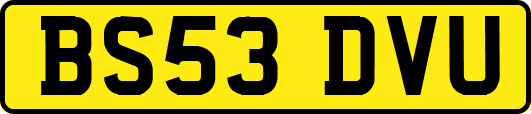 BS53DVU