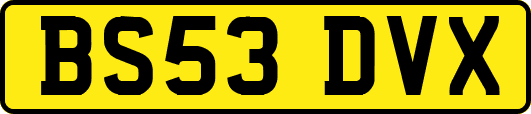 BS53DVX