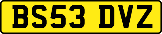 BS53DVZ