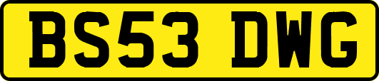 BS53DWG