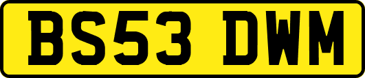 BS53DWM