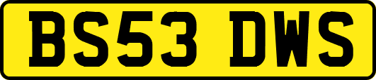 BS53DWS