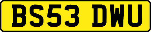 BS53DWU