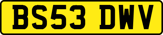 BS53DWV