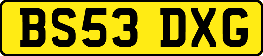 BS53DXG