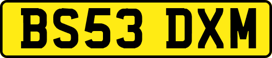 BS53DXM