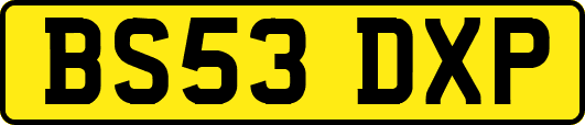BS53DXP