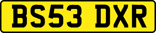 BS53DXR