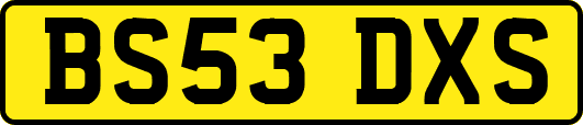 BS53DXS