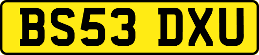 BS53DXU