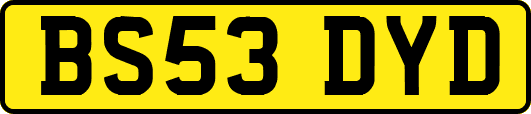 BS53DYD