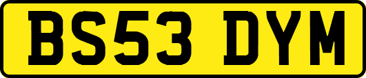 BS53DYM