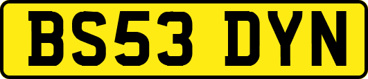 BS53DYN