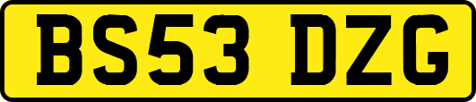 BS53DZG