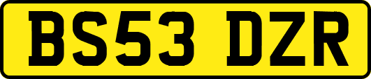 BS53DZR