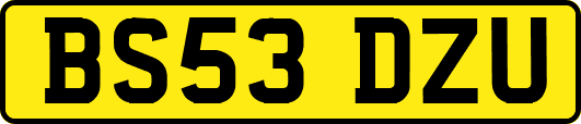 BS53DZU