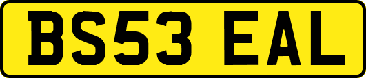 BS53EAL