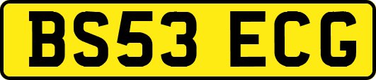 BS53ECG