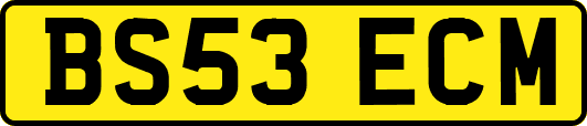 BS53ECM