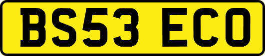 BS53ECO