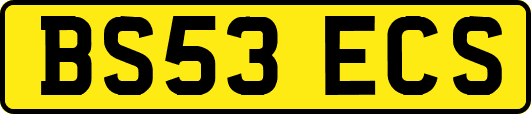 BS53ECS