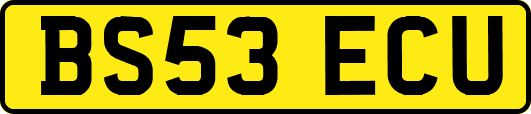 BS53ECU