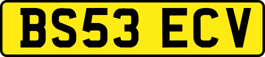 BS53ECV