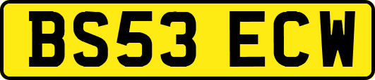 BS53ECW