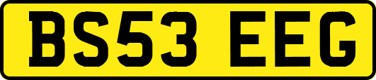 BS53EEG