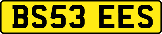 BS53EES