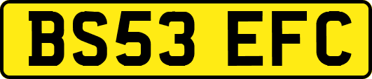 BS53EFC