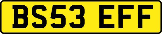 BS53EFF