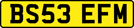 BS53EFM