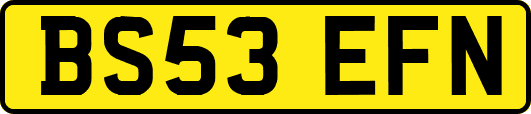 BS53EFN