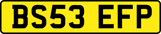 BS53EFP