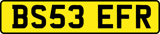 BS53EFR