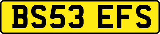 BS53EFS
