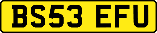 BS53EFU